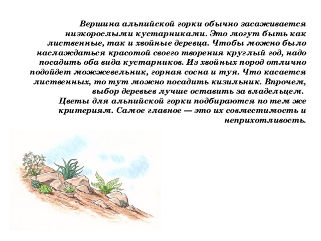 Вершина альпийской горки обычно засаживается низкорослыми кустарниками. Это могут быть как лиственные, так и хвойные деревца. Чтобы можно было наслаждаться красотой своего творения круглый год, надо посадить оба вида кустарников. Из хвойных пород отлично подойдет можжевельник, горная сосна и туя. Что касается лиственных, то тут можно посадить кизильник. Впрочем, выбор деревьев лучше оставить за владельцем.  Цветы для альпийской горки подбираются по тем же критериям. Самое главное — это их совместимость и неприхотливость.   