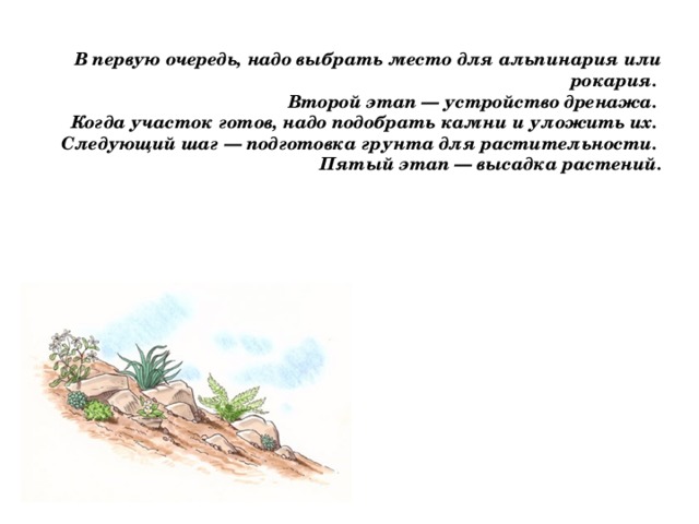 В первую очередь, надо выбрать место для альпинария или рокария.  Второй этап — устройство дренажа.  Когда участок готов, надо подобрать камни и уложить их.  Следующий шаг — подготовка грунта для растительности.  Пятый этап — высадка растений.   