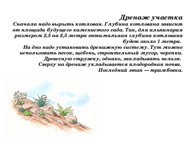 Дренаж участка Сначала надо вырыть котлован. Глубина котлована зависит от площади будущего каменистого сада. Так, для альпинария размером 2,5 на 2,5 метра оптимальная глубина котлована будет около 1 метра. На дно надо установить дренажную систему. Тут можно использовать песок, щебень, строительный мусор, черепки. Древесную стружку, однако, закладывать нельзя. Сверху на дренаж укладывается плодородная почва. Последний этап — трамбовка.   