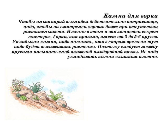 Камни для горки Чтобы альпинарий выглядел действительно потрясающе, надо, чтобы он смотрелся хорошо даже при отсутствии растительности. Именно в этом и заключается секрет мастеров. Горка, как правило, имеет от 3 до 5-6 ярусов. Укладывая камни, надо помнить, что в скором времени тут надо будет высаживать растения. Поэтому следует между ярусами насыпать слой влажной плодородной почвы. Не надо укладывать камни слишком плотно . 