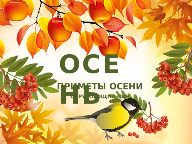 ОСЕНЬ ПРИМЕТЫ ОСЕНИ ОКРУЖАЮЩИЙ МИР 