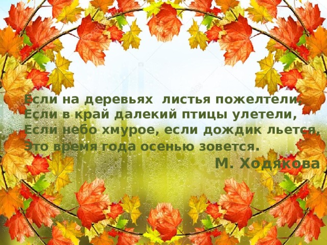 Если на деревьях листья пожелтели, Если в край далекий птицы улетели, Если небо хмурое, если дождик льется, Это время года осенью зовется . М. Ходякова 