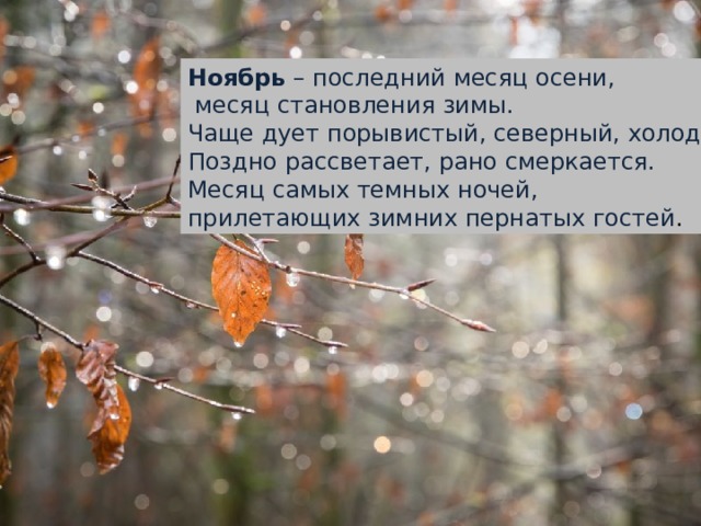 Ноябрь – последний месяц осени,  месяц становления зимы. Чаще дует порывистый, северный, холодный ветер. Поздно рассветает, рано смеркается. Месяц самых темных ночей, прилетающих зимних пернатых гостей . 