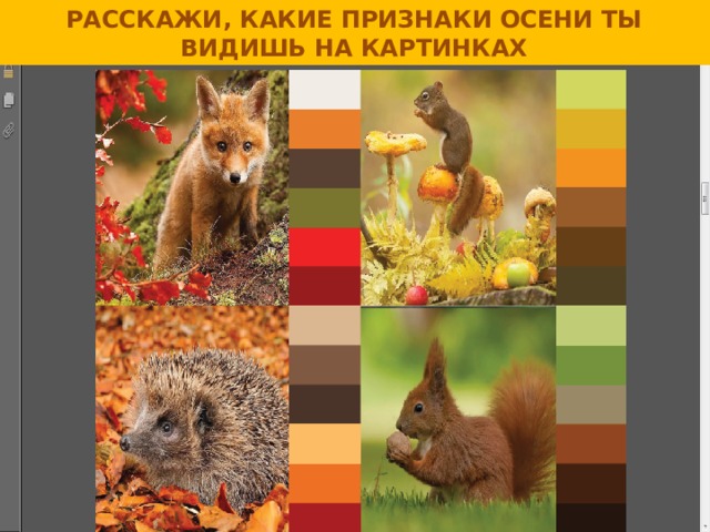 РАССКАЖИ, КАКИЕ ПРИЗНАКИ ОСЕНИ ТЫ ВИДИШЬ НА КАРТИНКАХ 