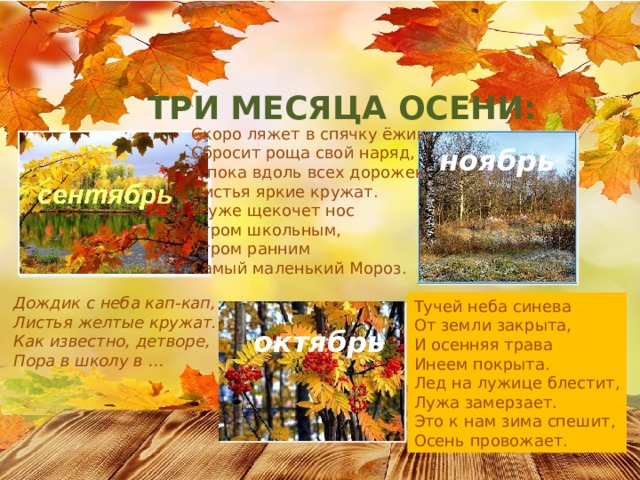 ТРИ МЕСЯЦА ОСЕНИ: Скоро ляжет в спячку ёжик, Сбросит роща свой наряд, А пока вдоль всех дорожек Листья яркие кружат. И уже щекочет нос Утром школьным, Утром ранним Самый маленький Мороз. ноябрь Дождик с неба кап-кап, Листья желтые кружат. Как известно, детворе, Пора в школу в … Тучей неба синева От земли закрыта, И осенняя трава Инеем покрыта. Лед на лужице блестит, Лужа замерзает. Это к нам зима спешит, Осень провожает.  октябрь 
