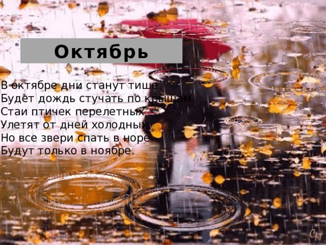 Октябрь В октябре дни станут тише. Будет дождь стучать по крышам. Стаи птичек перелетных Улетят от дней холодных. Но все звери спать в норе Будут только в ноябре. 