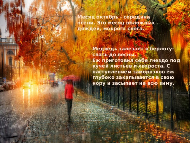 Месяц октябрь - середина осени. Это месяц обложных дождей, мокрого снега.  Медведь залезает в берлогу- спать до весны. Еж приготовил себе гнездо под кучей листьев и хвороста. С наступлением заморозков ёж глубоко закапывается в свою нору и засыпает на всю зиму. 