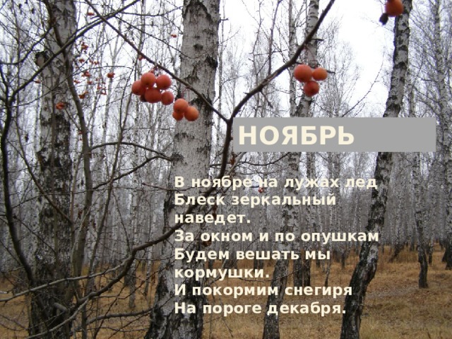НОЯБРЬ В ноябре на лужах лед Блеск зеркальный наведет. За окном и по опушкам Будем вешать мы кормушки. И покормим снегиря На пороге декабря. 