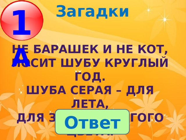 Загадки 1 А 1 А  Не барашек и не кот,  Носит шубу круглый год.  Шуба серая – для лета,  Для зимы – другого цвета. Ответ 