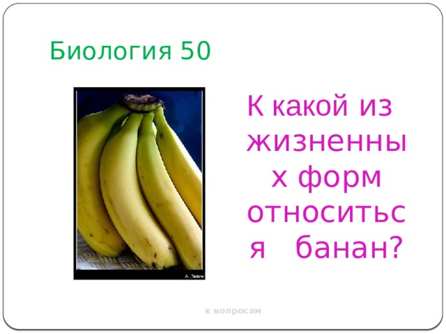 Биология 50 К какой из жизненных форм относиться банан? к вопросам 