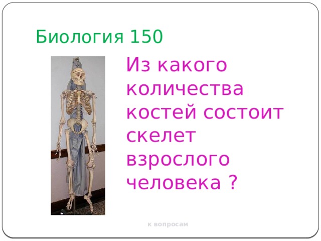 Биология 150 Из какого количества костей состоит скелет взрослого человека ? к вопросам 