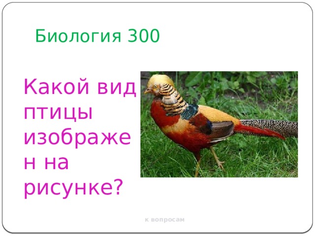 Биология 300 Какой вид птицы изображен на рисунке? к вопросам 