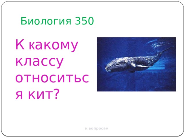 Биология 350 К к акому классу относиться кит? к вопросам 