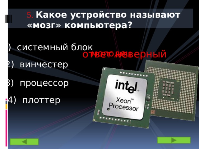 5.  Какое устройство называют «мозг» компьютера? 1) системный блок молодец ответ неверный 2) винчестер 3) процессор 4) плоттер 