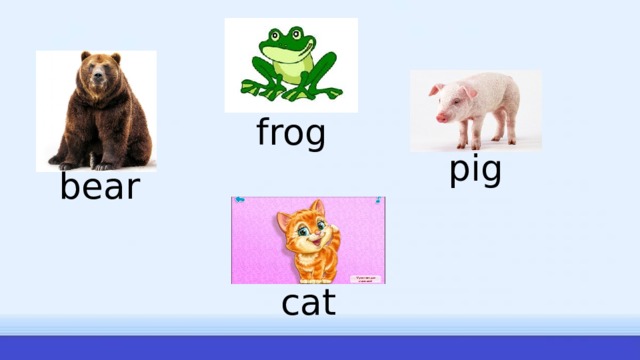 frog pig bear cat 