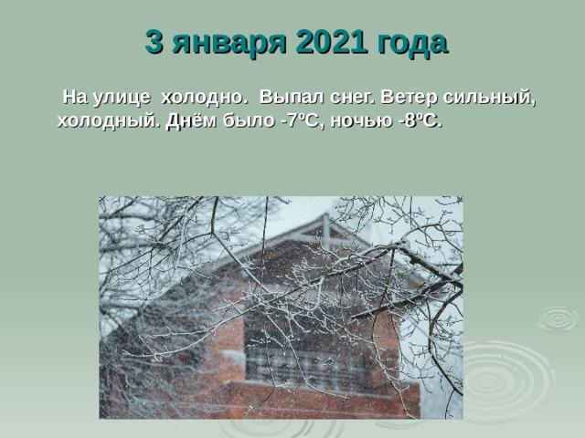  3 января 2021 года   На улице холодно. Выпал снег. Ветер сильный, холодный. Днём было -7ºС, ночью -8ºС. 
