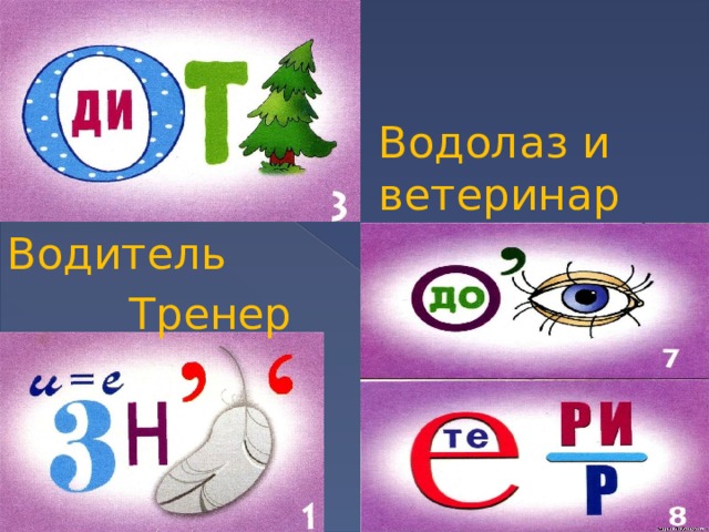 Водолаз и ветеринар Водитель Тренер 