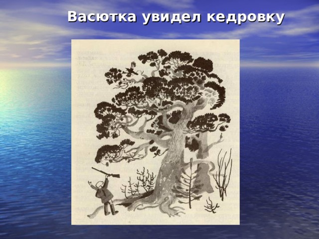  Васютка увидел кедровку   