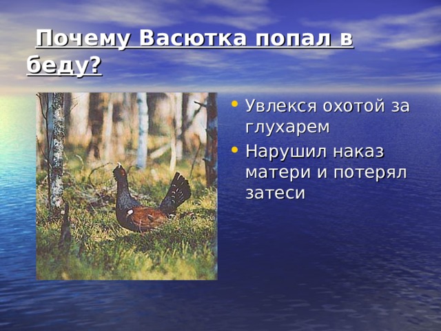  Почему Васютка попал в беду? Увлекся охотой за глухарем Нарушил наказ матери и потерял затеси 