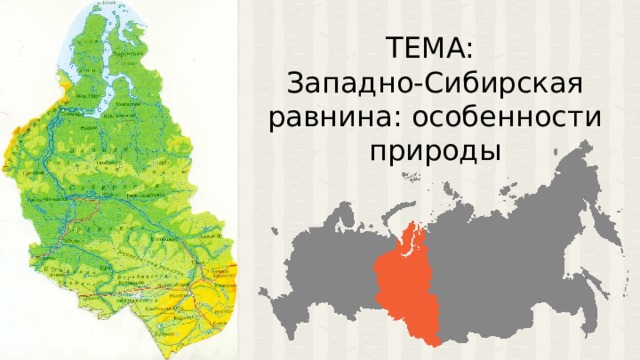 ТЕМА: Западно-Сибирская равнина: особенности природы 