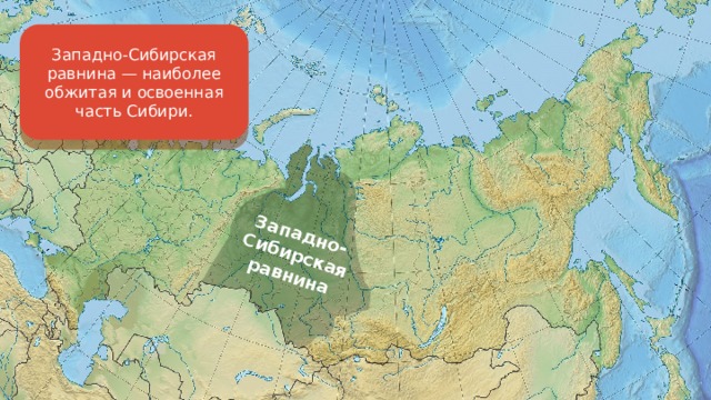 Западно-Сибирская равнина Западно-Сибирская равнина — наиболее обжитая и освоенная часть Сибири. 
