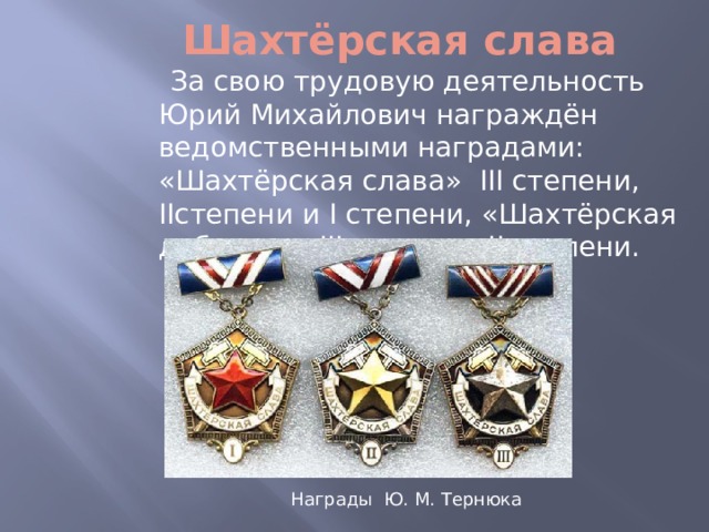 Шахтёрская слава  За свою трудовую деятельность Юрий Михайлович награждён ведомственными наградами: «Шахтёрская слава» III степени, IIстепени и I степени, «Шахтёрская доблесть» III степени, II степени.  Награды Ю. М. Тернюка  