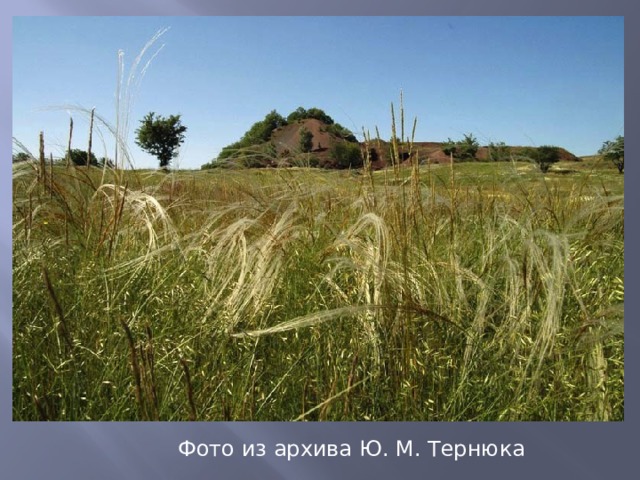  Фото из архива Ю. М. Тернюка  