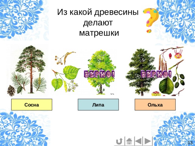Из какой древесины  делают  матрешки Сосна Липа Ольха 13 