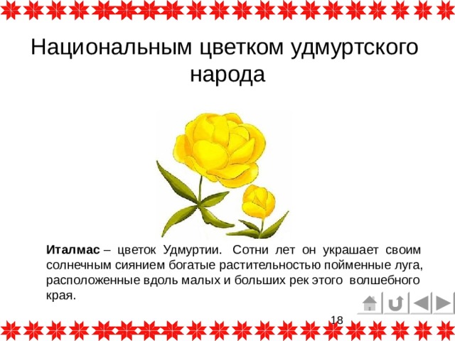 Национальным цветком удмуртского  народа Италмас – цветок Удмуртии. Сотни лет он украшает своим солнечным сиянием богатые растительностью пойменные луга, расположенные вдоль малых и больших рек этого волшебного края. 