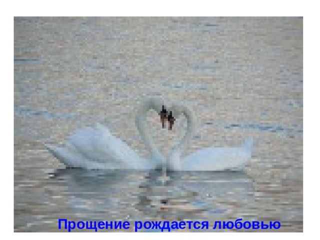 Прощение рождается любовью 