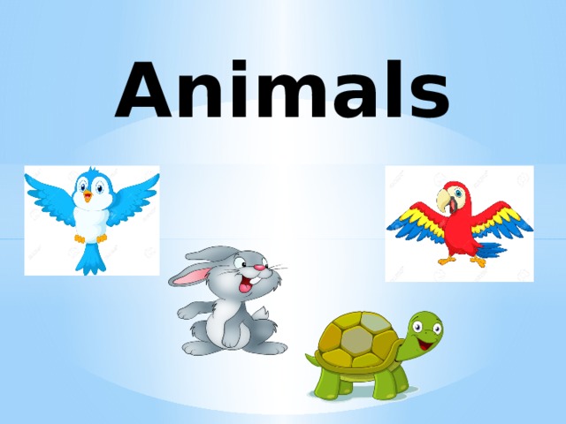 Animals 