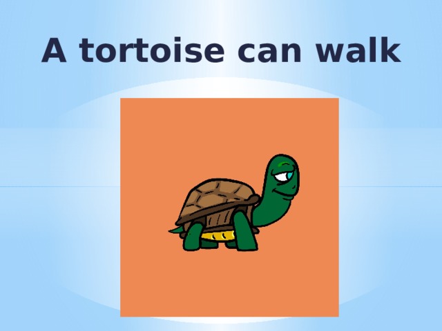 A tortoise can walk 