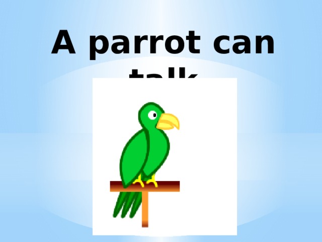 A parrot can talk 