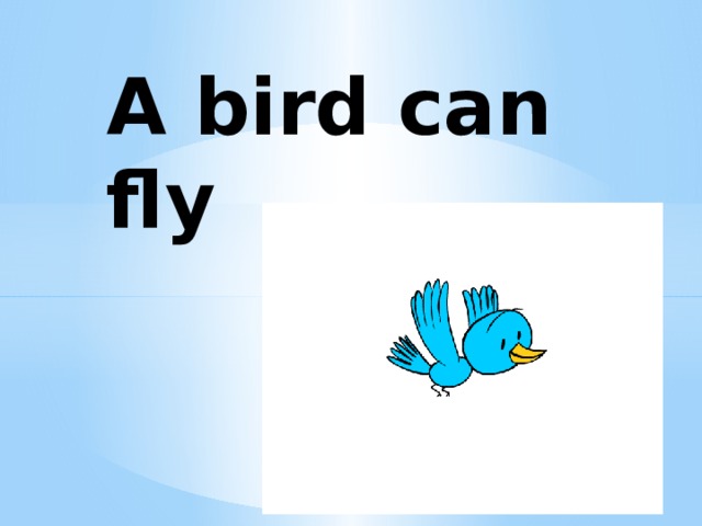 A bird can fly 