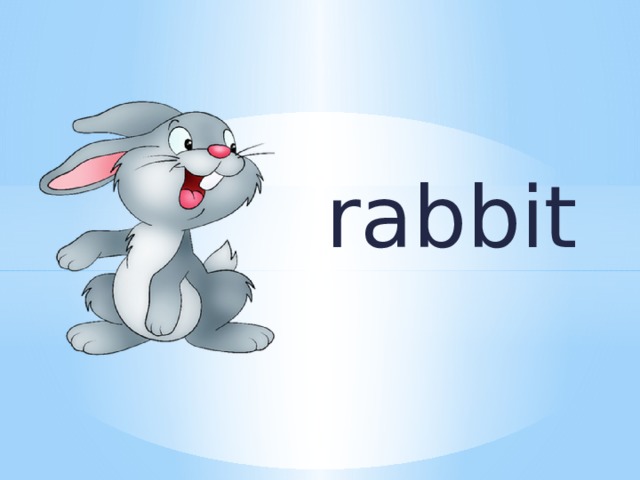 rabbit 