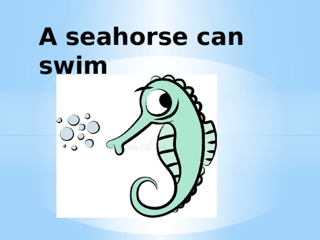 A seahorse can swim  