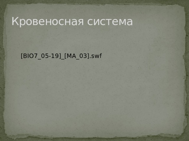 Кровеносная система 