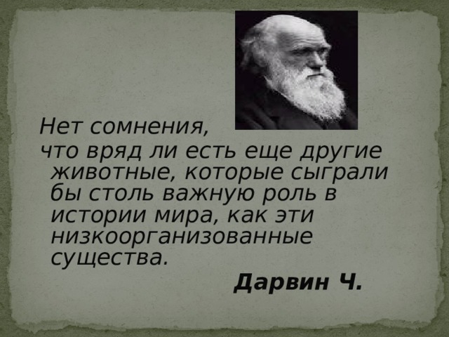 Нет сомнения, что вряд ли есть еще другие животные, которые сыграли бы столь важную роль в истории мира, как эти низкоорганизованные существа.  Дарвин Ч. 