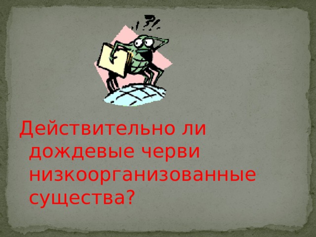 Действительно ли дождевые черви низкоорганизованные существа? 
