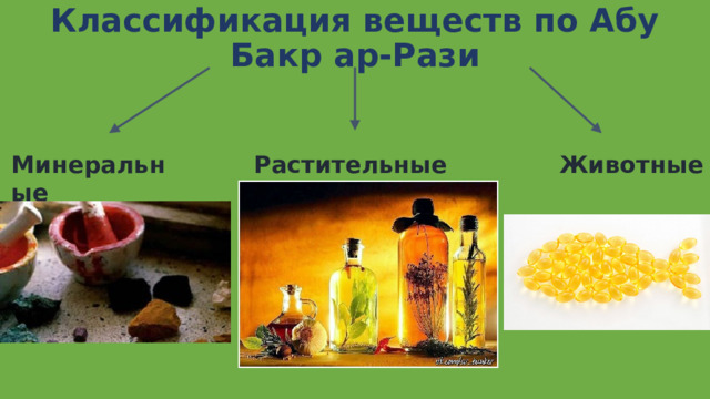 Классификация веществ по Абу Бакр ар-Рази Минеральные Растительные Животные 