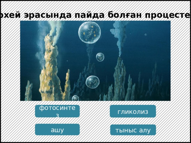 Архей эрасында пайда болған процестер: фотосинтез гликолиз ашу тыныс алу  