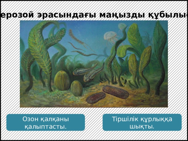 Протерозой эрасындағы маңызды құбылыстар: Фотосинтездеуші өсімдіктер мен цианобактериялар көп мөлшерде оттек бөлуіне байланысты озон қалқаны қалыптасып, тіршілік құрлыққа шықты. Тіршілік құрлыққа шықты. Озон қалқаны қалыптасты.  