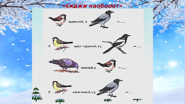«Скажи наоборот» 