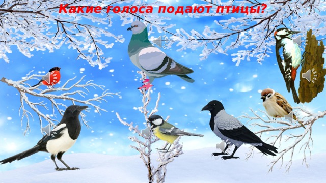 Какие голоса подают птицы? 