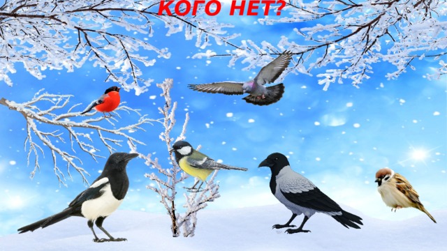 КОГО НЕТ?   