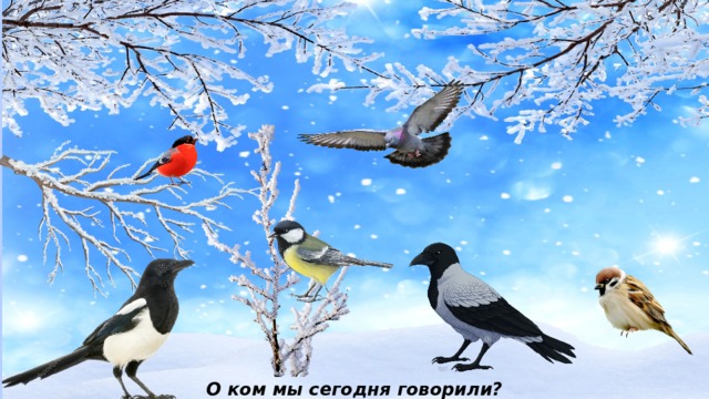 О ком мы сегодня говорили? 