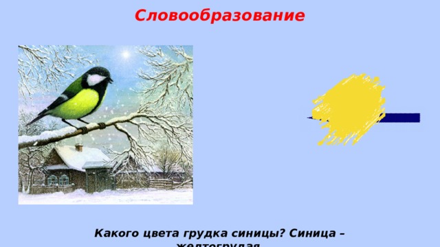 Словообразование Какого цвета грудка синицы? Синица –желтогрудая. 