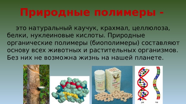Природные полимеры -  это натуральный каучук, крахмал, целлюлоза, белки, нуклеиновые кислоты. Природные органические полимеры (биополимеры) составляют основу всех животных и растительных организмов. Без них не возможна жизнь на нашей планете. 