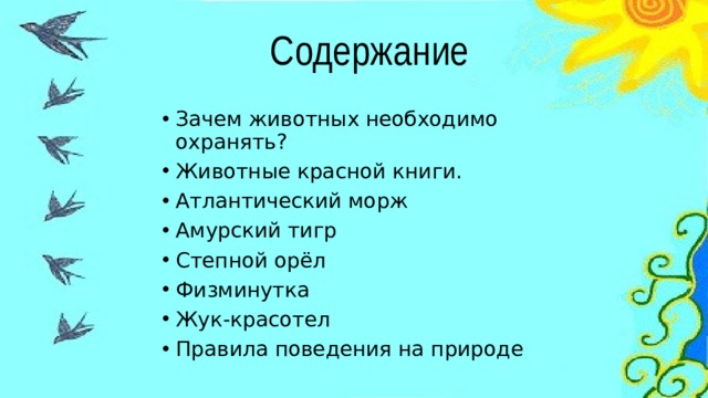 Содержание Зачем животных необходимо охранять? Животные красной книги. Атлантический морж Амурский тигр Степной орёл Физминутка Жук-красотел Правила поведения на природе 