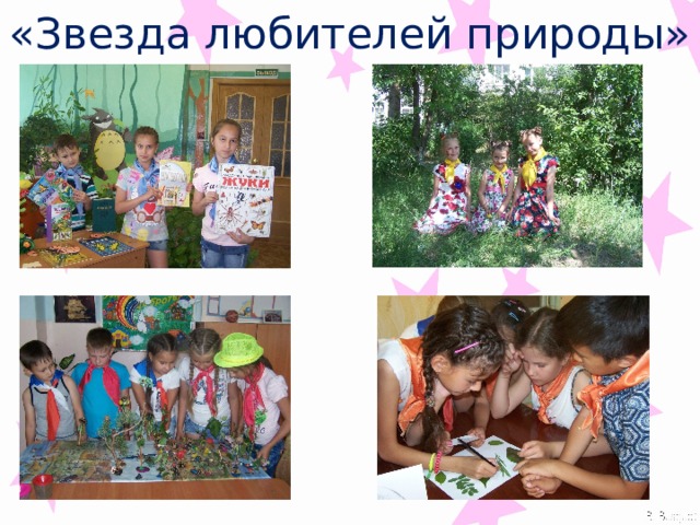 «Звезда любителей природы» 